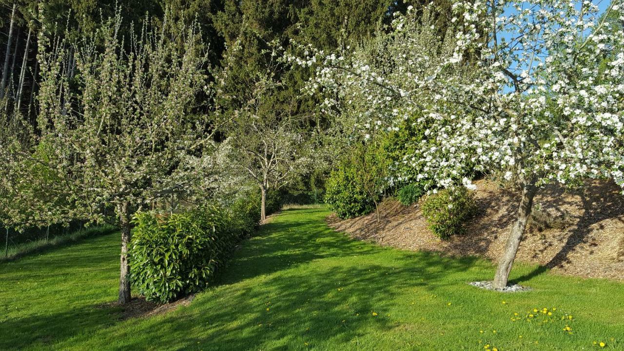 Ferienwohnung Am Waldrand Herdwangen-Schonach Екстер'єр фото