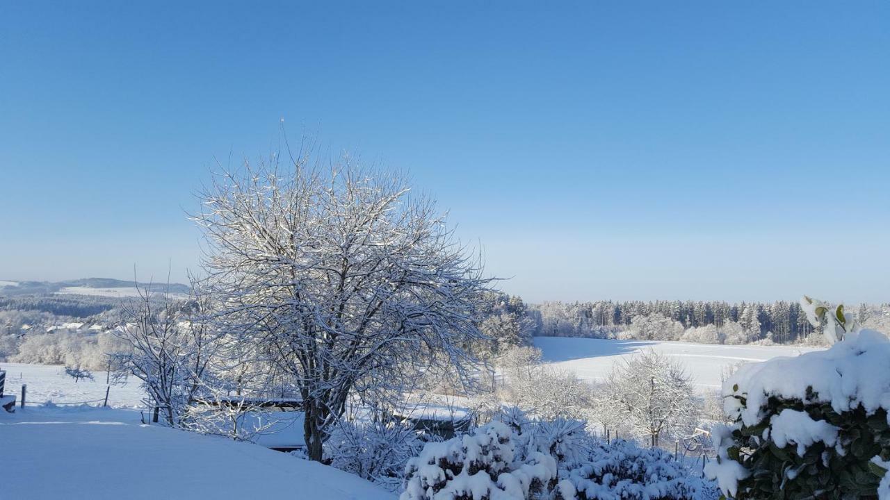 Ferienwohnung Am Waldrand Herdwangen-Schonach Екстер'єр фото